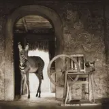 Nick Brandt, Zebra in Doorway with Loom, Lewa Downs