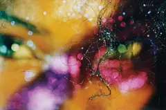 Mardi Gras by Marilyn Minter, 2007, chromogenic print, sold Oct 2016
