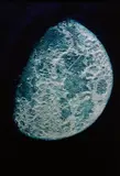Vik Muniz, The Face of the Moon, after John Russell, from Pictures of Pigment, 2007, Chromogenic print