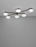 Angelo Lelii, Six-armed ceiling light