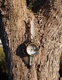 André Dubreuil, Wall clock