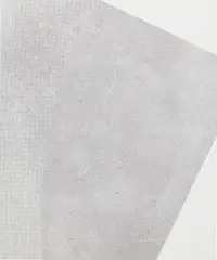 Cheyney Thompson, Untitled, 2007, silkscreen, acrylic on canvas