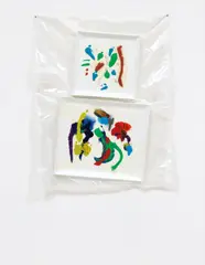 Vacuum Painting (diptych) by Dan Rees, 2013, oil on canvas, vacuum storage bag, sold Mar 2015