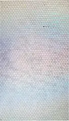 Oliver Laric, Schengen Visa Hologram, 2012, tamper evident security hologram stickers on PET sheet, lacquer