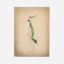 Léonor Fini, Untitled, pencil and watercolor on paper