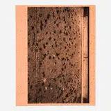 Adam McEwen, Untitled, 2014, inkjet print on cellulose sponge mounted to metal frame