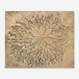 Ruth Asawa, Untitled (Flower)
