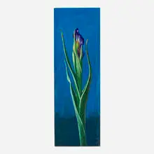 Paul Wonner, Study of an Iris, 1985, acrylic on paper