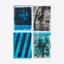 Ann Craven, 16,000 Mistakes (Bird, Pensée, Stripe, Moon), 2008-11, screenprint on offset lithograph in colors