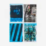 Ann Craven, 16,000 Mistakes (Bird, Pensée, Stripe, Moon), 2008-11, screenprint on offset lithograph in colors