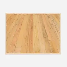 Sylvia Plimack Mangold, Floor I, 1973, lithograph with hand-painting