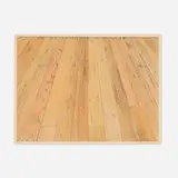 Sylvia Plimack Mangold, Floor I