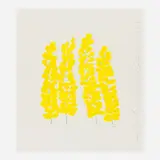 Donald Sultan, Wallflower 24 (from the Wallflowers portfolio), 2008, screenprint in colors