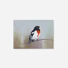 Astrid Preston, Spring Grosbeak, 2008, oil on canvas