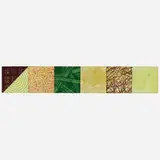 David Shapiro, Savasan 8