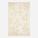 Henri Matisse, Untitled (from the Poèmes de Charles d'Orléans portfolio)
