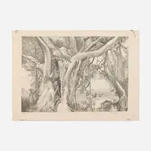 Ross Eugene Braught, Banyan Tree, 1949, lithograph