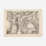 Ross Eugene Braught, Banyan Tree, 1949, lithograph