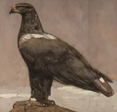 Paul Jouve, Aigle Royal Pose de Profil