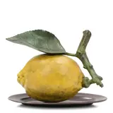Lemon by Luis Montoya and Leslie Ortiz, patinated bronze, sold Jul 2025