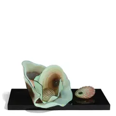 Dale Chihuly, Five-Piece Celadon Seaform Set with Oxblood Lip Wraps, blown glass, black acrylic base, largest element inscribed 'Chihuly 1986' on underside