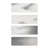 Hiromichi Iwashita, Shigi Tatsu Aki-Godwit Leaving Autumn