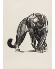 Paul Jouve, Panthère Noire