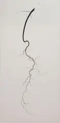 Brian Borrello, Root, Monumental oil on canvas