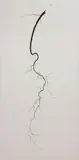 Brian Borrello, Root, Monumental oil on canvas