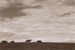 William D. Wittliff, Lonesome Dove, sepia-toned gelatin silver print on paper