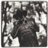 Keith Carter, Water Witching