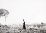 George Krause, Fog, Alcala, Spain, gelatin silver print on paper