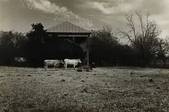 William D. Wittliff, Out Webberville Road, January 6, 1974, 1974, gelatin silver print on paper