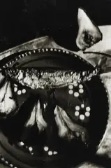 Jeffrey Silverthorne, Fish and Pears, gelatin silver print on paper