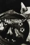 Jeffrey Silverthorne, Fish and Pears, gelatin silver print on paper