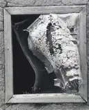Gary Faye, Adobe Window Detail, Taos, New Mexico, gelatin silver print