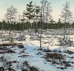 Neil Welliver, Little Marsh, Woodcut