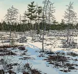 Neil Welliver, Little Marsh, Woodcut