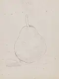 Robert Kulicke, Solo Pear, Pencil on paper
