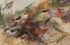 Morris Shulman, Monhegan Shore Birds, Casein on paper