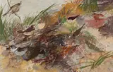 Morris Shulman, Monhegan Shore Birds