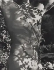 Tyke, Long Pond, Adirondack Park, New York by Bruce Weber, 1988, Photograph, sold Aug 2025