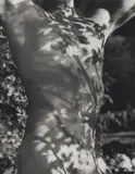 Bruce Weber, Tyke, Long Pond, Adirondack Park, New York