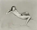 Edward Weston, Nude, 1936, Gelatin silver print