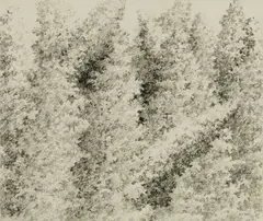 Alan Bray, Forest Scene, Pencil on paper