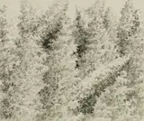 Alan Bray, Forest Scene, Pencil on paper