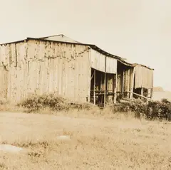 Maine Barn by Walker Evans, Possibly Cranberry Island, 1962, Gelatin silver print, offered Aug 2023