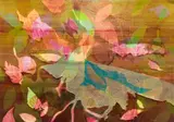 Beverly Hallam, Muddy Puddle, 1969, Monotype