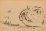 William Zorach, Cat