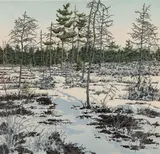 Neil Welliver, Little Marsh, 1986, Woodcut on paper